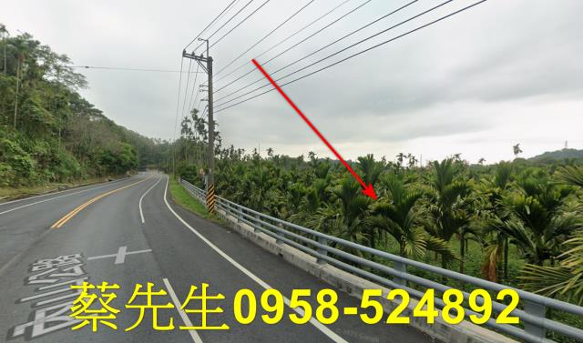 梅山法拍農地-12