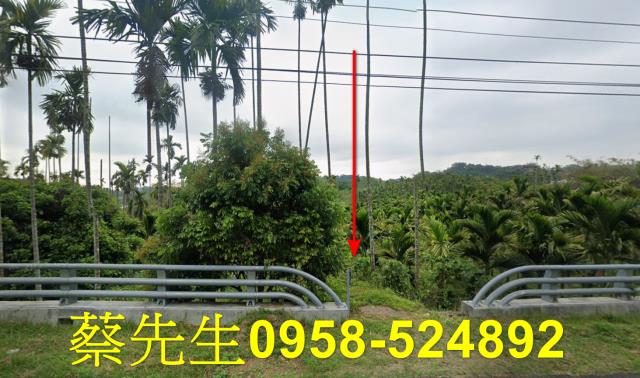 梅山法拍農地-1