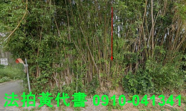 新竹新豐建地法拍-9