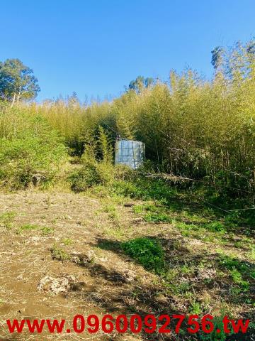 新竹尖石農地-6