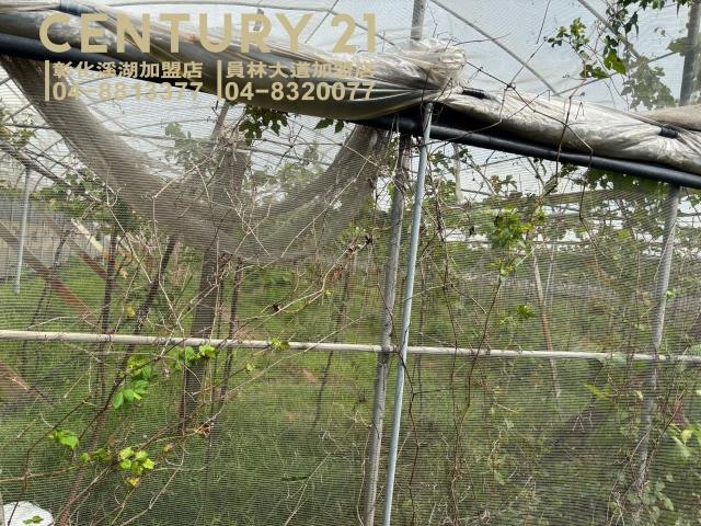 彰化溪湖農地-6