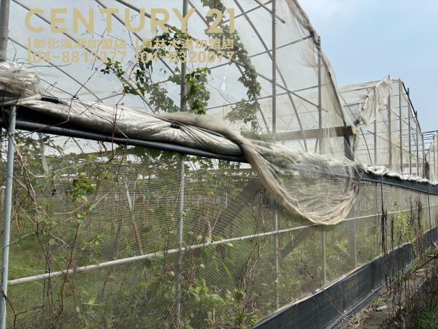 彰化溪湖農地-7