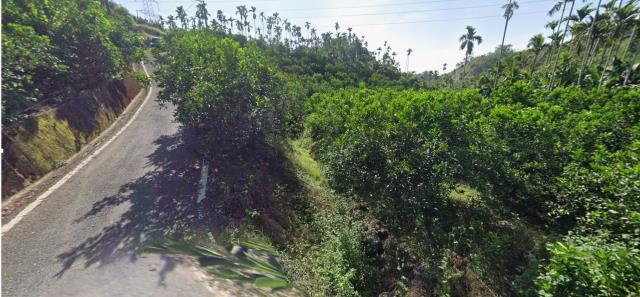 嘉義中埔農地法拍-12