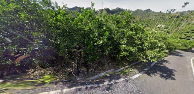 嘉義中埔農地法拍-1