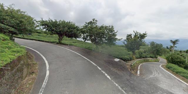 嘉義梅山拍賣農地-13