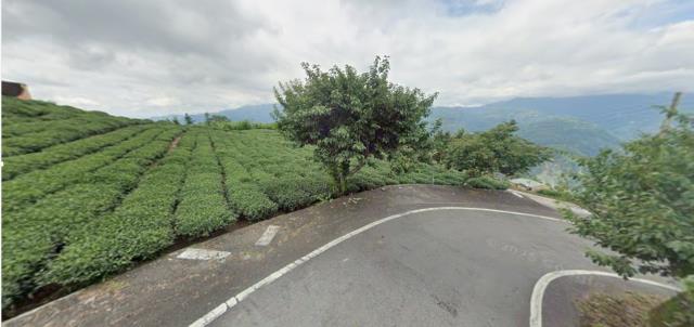 嘉義梅山拍賣農地-4