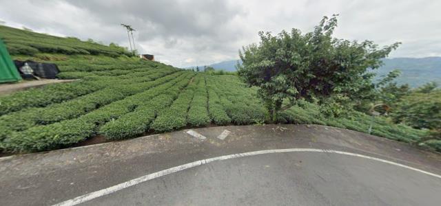 嘉義梅山拍賣農地-9