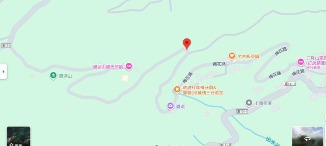 嘉義梅山農地拍賣-5