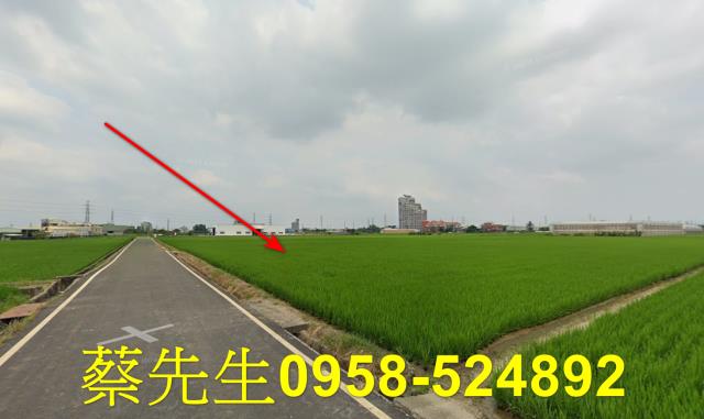 斗六農地拍賣-13