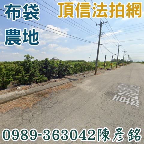 嘉義法拍農地-2