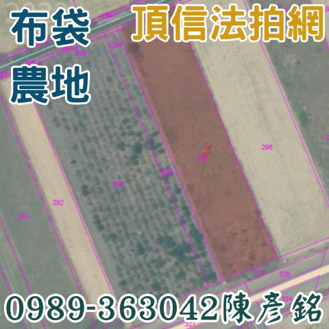 嘉義法拍農地-3