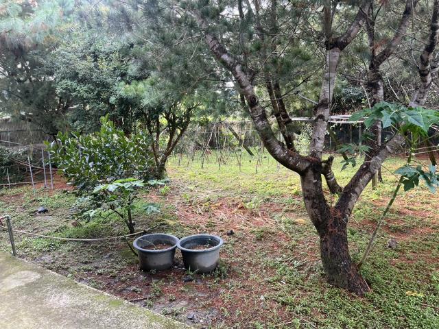 台中東勢農地-2