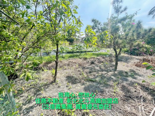 彰化田尾農地-1