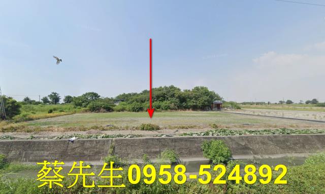 雲林水林農地法拍-9