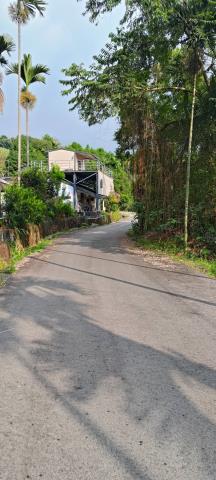 台中東勢農地-3