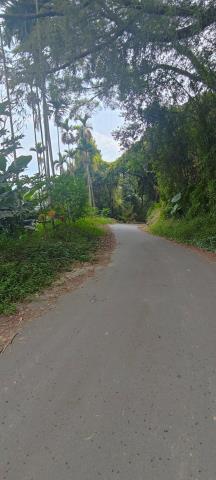 台中東勢農地-5