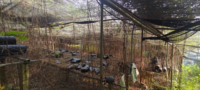 台中東勢農地-8