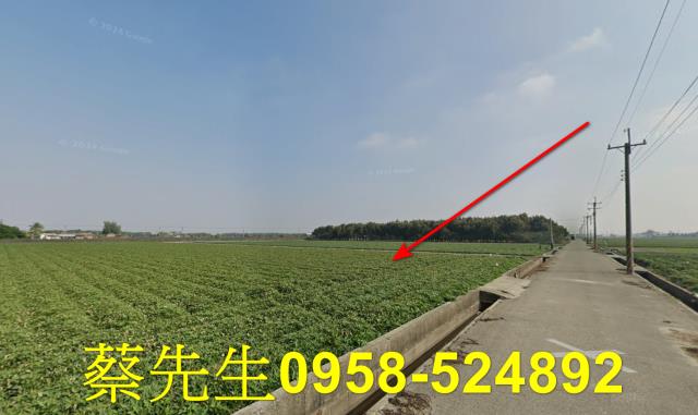 雲林水林法拍農地-13