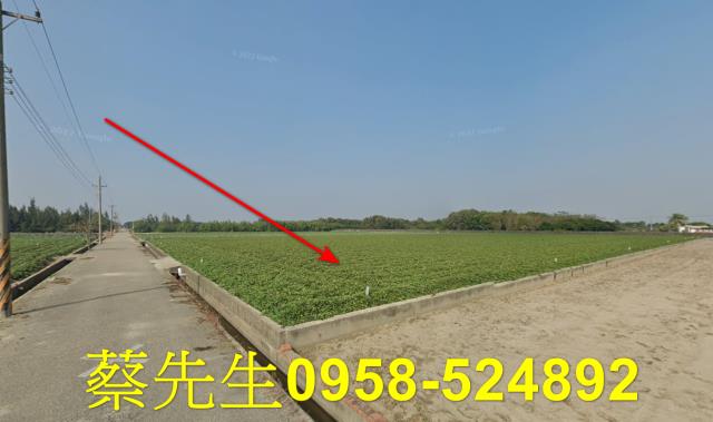 雲林水林法拍農地-6