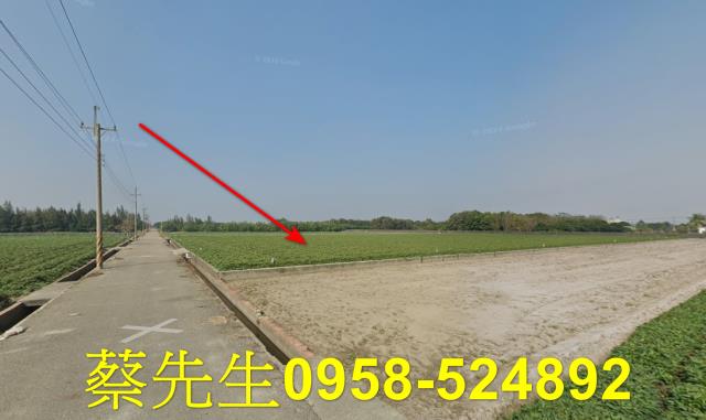 雲林水林法拍農地-7