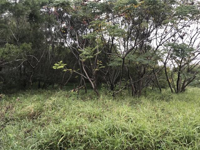 桃園楊梅工業地-1