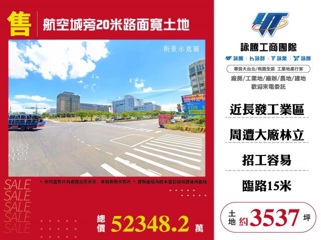 桃園大園農地-1