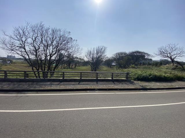 桃園大園農地-4