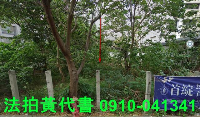 桃園區建地法拍-1