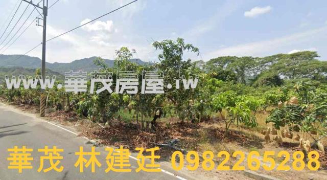 南化農地拍賣-1