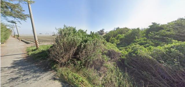 雲林法拍農地-1