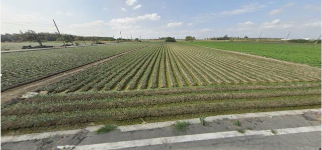 雲林法拍農地-1