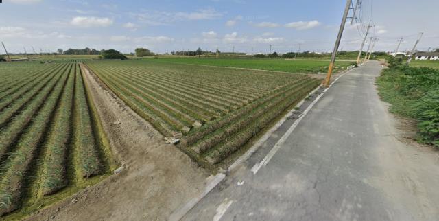 雲林法拍農地-5