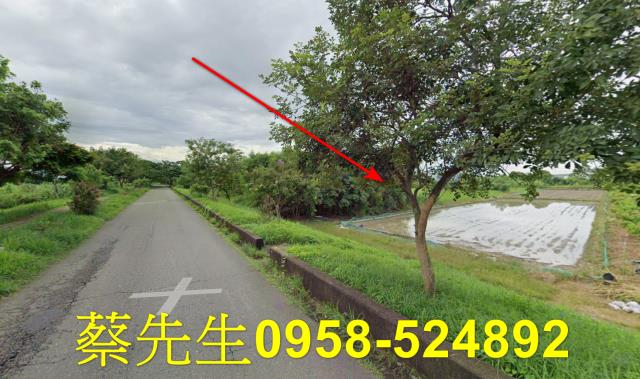 台南農地拍賣-13