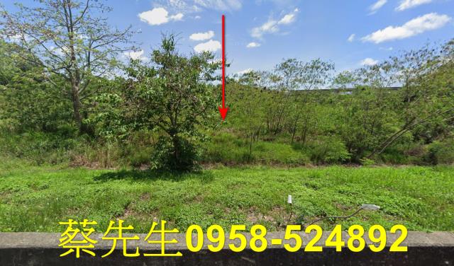 台南農地拍賣-1