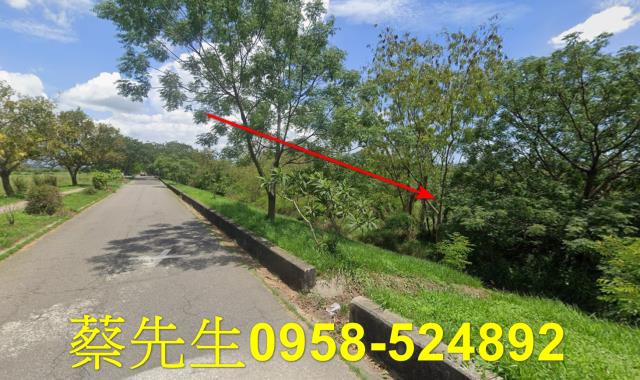 台南農地拍賣-4