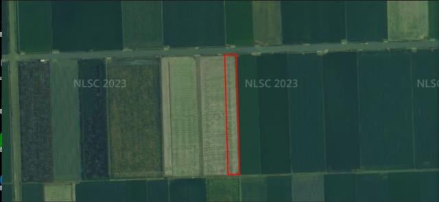 雲林東勢鄉法拍農地-10