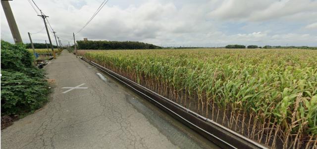 雲林東勢鄉農地法拍-4