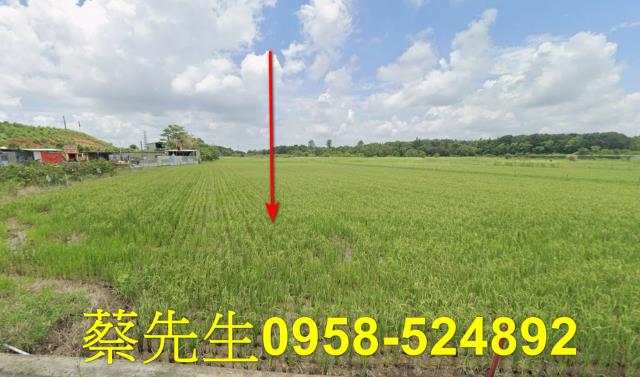 台南關廟農地法拍-1