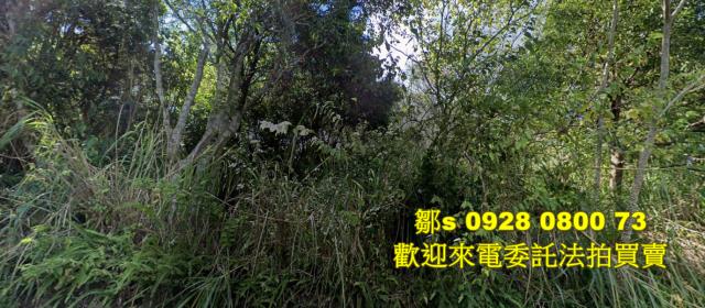 新北烏來農地法拍-1