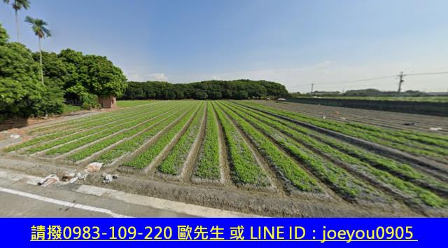 彰化溪州法拍農地-12