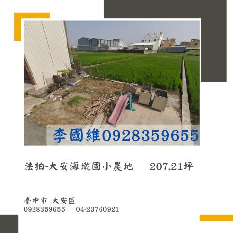 大安區農地法拍-1