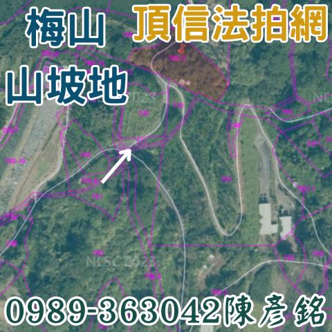 梅山拍賣農地-2