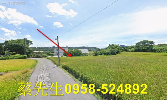 桃園法拍農地-13