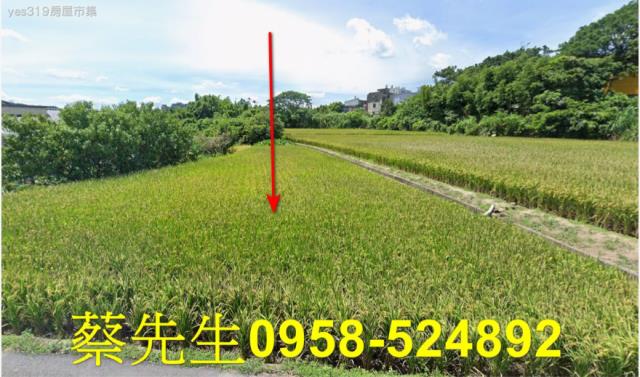 桃園法拍農地-1