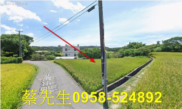 桃園法拍農地-4