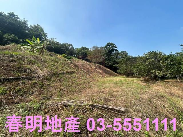 苗栗三灣農地-14