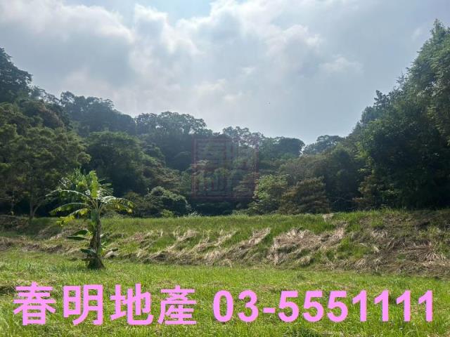 苗栗三灣農地-5