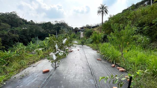 新竹寶山農地-10