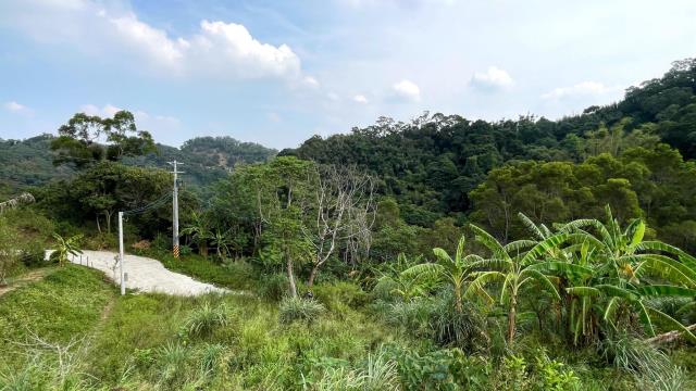 新竹寶山農地-14