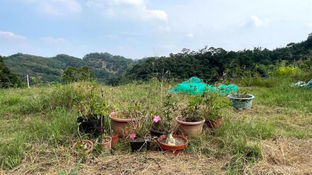 新竹寶山農地-6